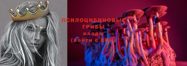 дурь Аркадак